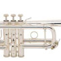 Bach Stradivarius C180S/229 Tudel 25C Prateado