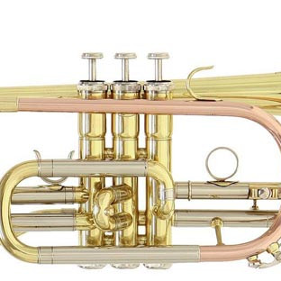 ROY BENSON CR 202