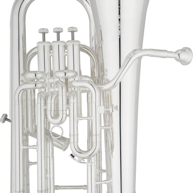 Eastman Professional EEP624S Silver Plated