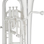 Eastman Professional EEP624S Silver Plated