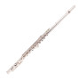 Amadeus FL805SO