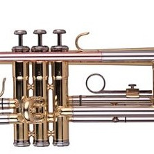 Wisemann DTR 200
