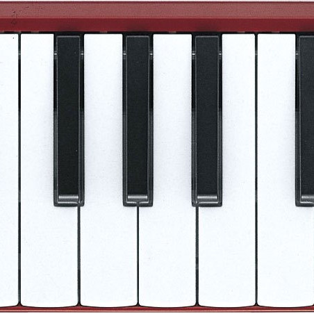Yamaha P 37D