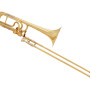 Bach 50 A3 Goldmessing