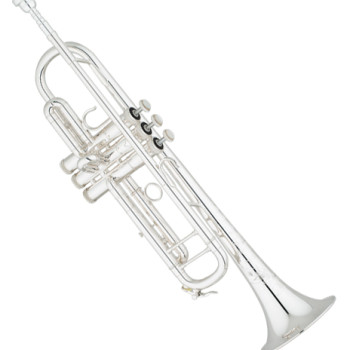 S.E. Shires STRQ10S