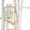 Eastman Professional EEP624GS Gold Plated Slides
