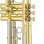 Eastman Student ETR324 Yellow Brass