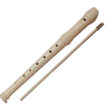 HONSUY Concept Plastic Recorder