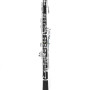 EG REEDS Beginner