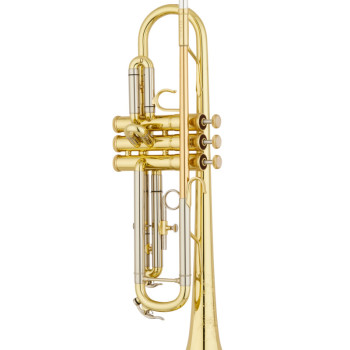 S.E. Shires Model A100