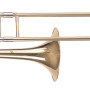Amadeus TT811L Lacado