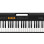 Casio CT S100