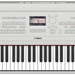 Yamaha PIANO DIGITAL DGX 670WH