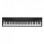 Alesis Concert