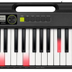 Casio Casiotone LK S250