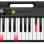 Casio Casiotone LK S250