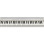 Casio CT S1WE