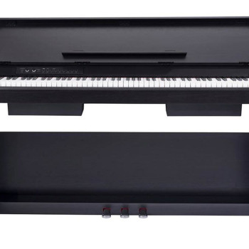 Medeli Andromeda Series CP203 BK