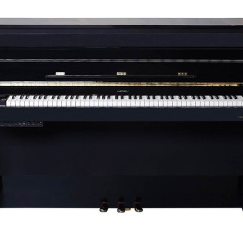 Medeli Forte Series UP805 GBK